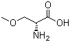 CAS 登錄號：86118-11-8, (R)-2-氨基-3-甲氧基丙酸, D-O-甲基絲氨酸